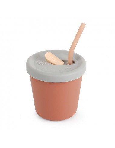 Sippy Straw Cup