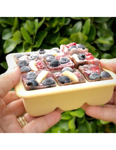 Gefrierform für Muttermilch oder Babynahrung 9 Fächer - Erbsengrün